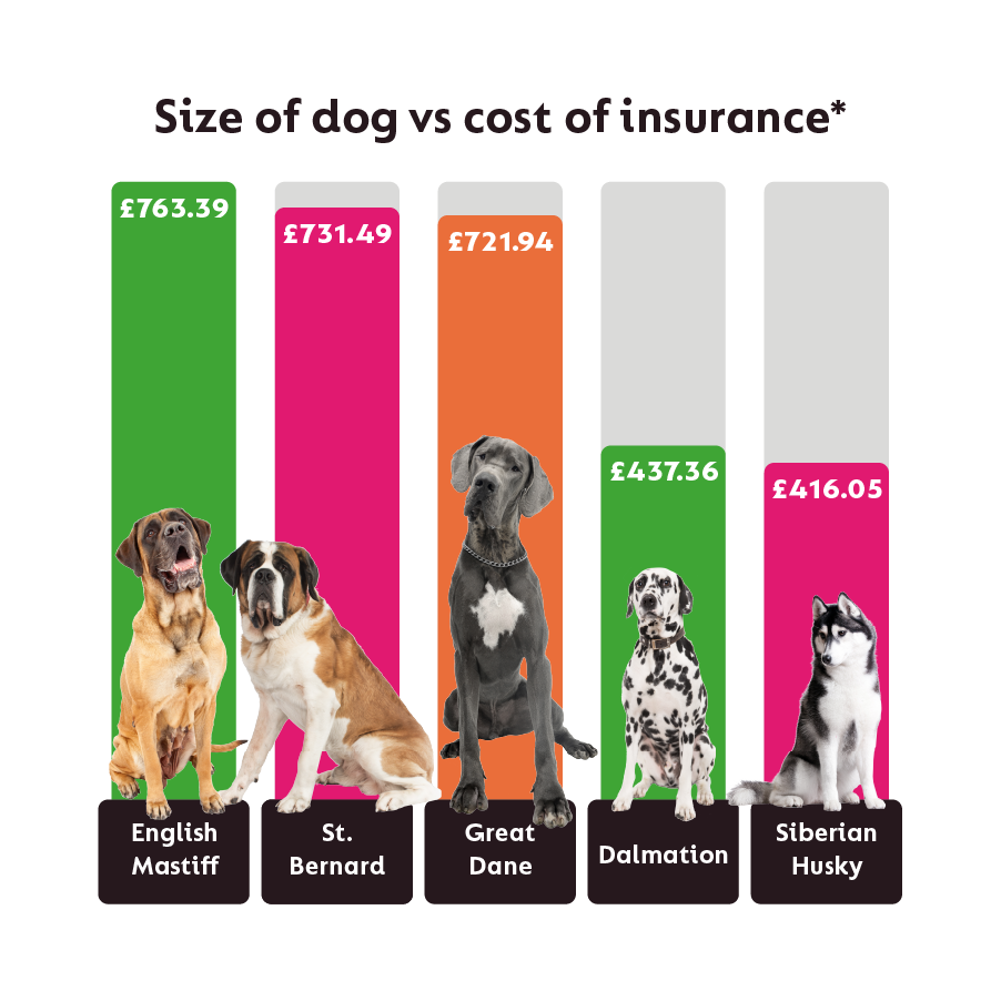 Pet Insurance Price Comparison
